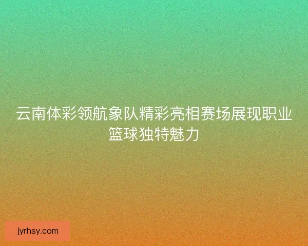 云南体彩领航象队精彩亮相赛场展现职业篮球独特魅力